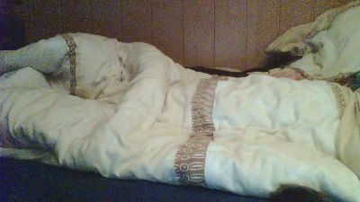 Einhorn81 webcam model stream image