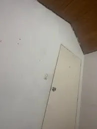 Emily_Rivers_ webcam model stream image