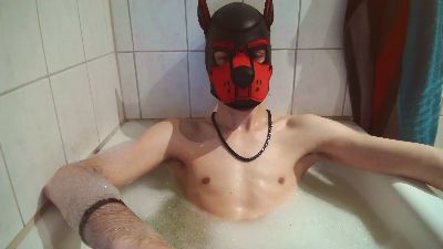 Pup_Hunter_1987 webcam model stream image