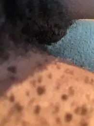 Chocolatemf webcam model stream image