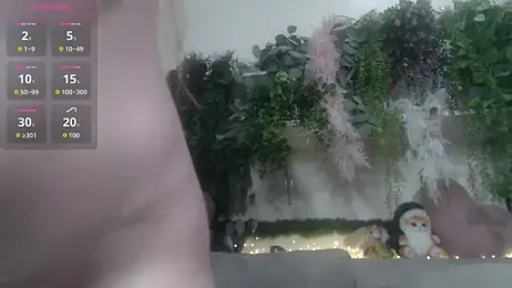 scyrim2 webcam model stream image