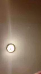 suggarbabby1 webcam model stream image