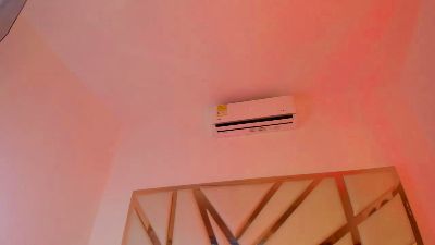 AlexaHandler webcam model stream image