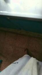 SexZN_35 webcam model stream image