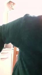 Desiree1951 webcam model stream image