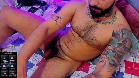 Hoot_tiger webcam model stream image