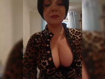 _Hertovka- webcam model stream image