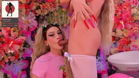 SpicySluts webcam model stream image