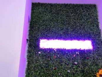 hotfallingdevil webcam model stream image