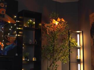 Evelyn Evy webcam model stream image