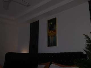 ms-k webcam model stream image