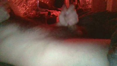 Wickedgay webcam model stream image