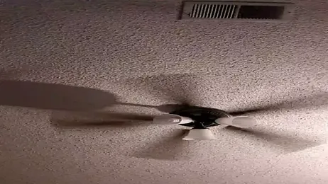 Forbidden_daddy webcam model stream image