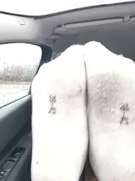 Dreamlove1 webcam model stream image