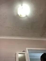 LuciousLips96 webcam model stream image