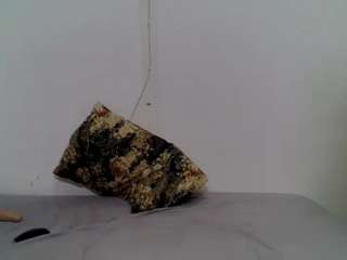 joycemode webcam model stream image