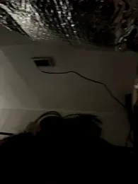 powq05 webcam model stream image