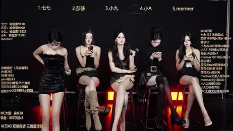 SK010 webcam model stream image