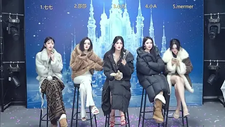 SK010 webcam model stream image