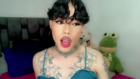 little_star_porn webcam model stream image