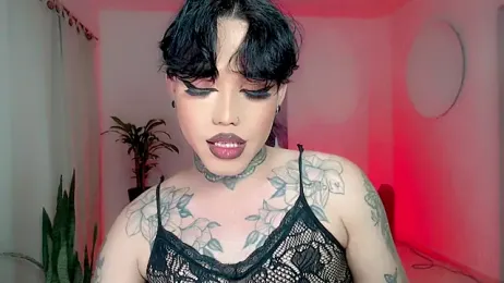 little_star_porn webcam model stream image