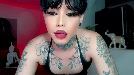 little_star_porn webcam model stream image