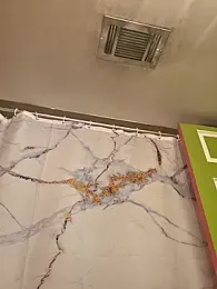 Southern_Bella webcam model stream image