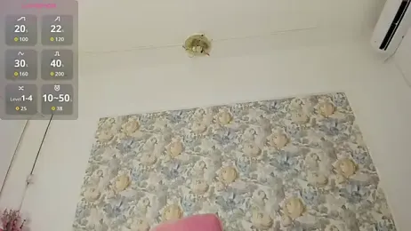 illegal_lorry webcam model stream image