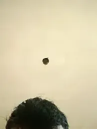 honorhorny webcam stripchat model stream image