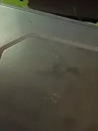 honorhorny webcam model stream image