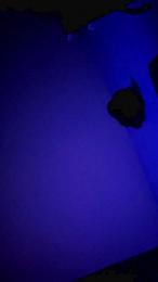 Grueso34 webcam model stream image