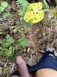 desi_alpha_boy webcam stripchat model stream image