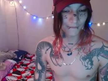 skykar webcam model stream image