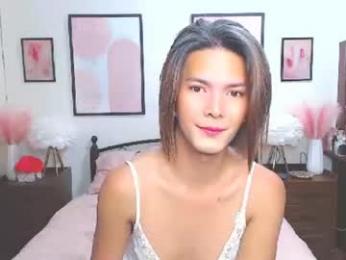 diense17 webcam model stream image