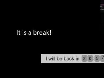 firevein webcam model stream image