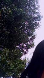 Lindafox99 webcam model stream image