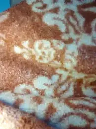 Sheela-Bhabi webcam model stream image