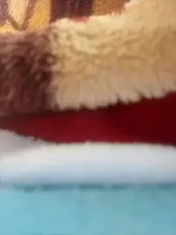 Sheela-Bhabi webcam model stream image