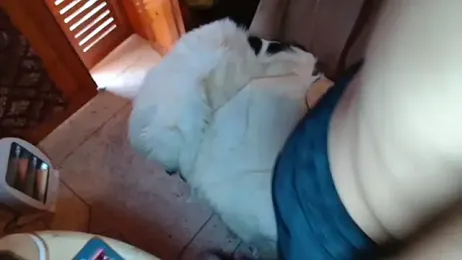 GangstArabianMaster webcam model stream image