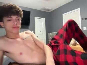 gayboyhtx webcam model stream image