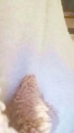 Culosexy187 webcam model stream image