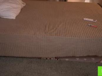 tessarosse_ webcam model stream image