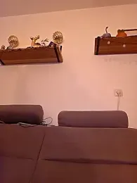 justtess webcam model stream image