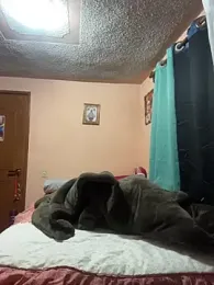 soyrodryp webcam model stream image