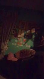 vogliaporcellin webcam model stream image