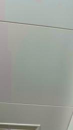 Curiosoexp webcam model stream image