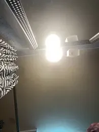 SmokingSloth webcam stripchat model stream image