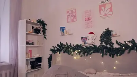 EvaSolisv webcam model stream image