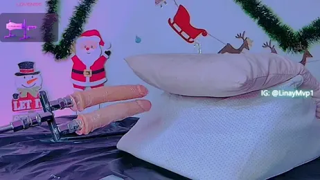 LinayModelMVP1 webcam model stream image