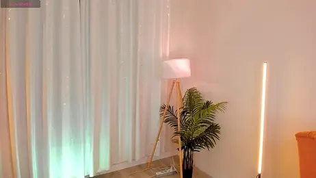 MilliMouse webcam model stream image